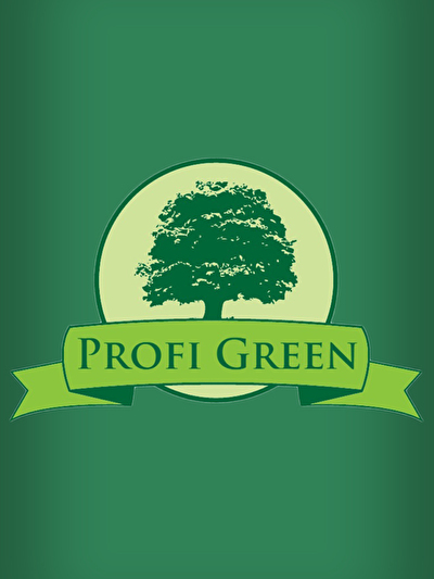 Wallpaper Profi Green.jpg